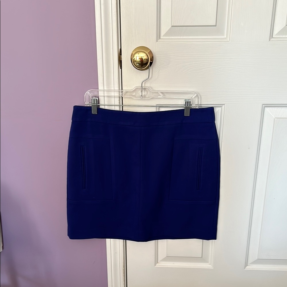 Elegant Blue Women's Skirt